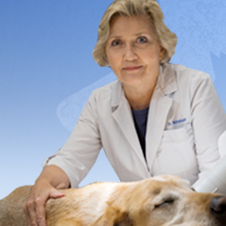 Meet Our Fresno Staff | Waterhouse Animal Hospital | Fresno